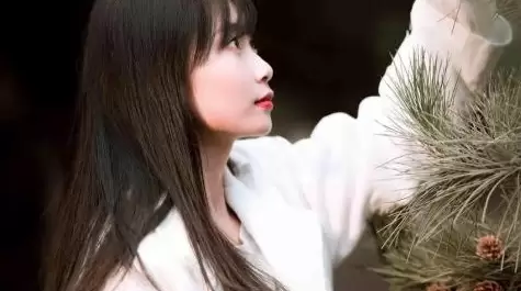 Tobu8-HD100：体验高清画质带来的震撼视觉盛宴-ACGAI艺图
