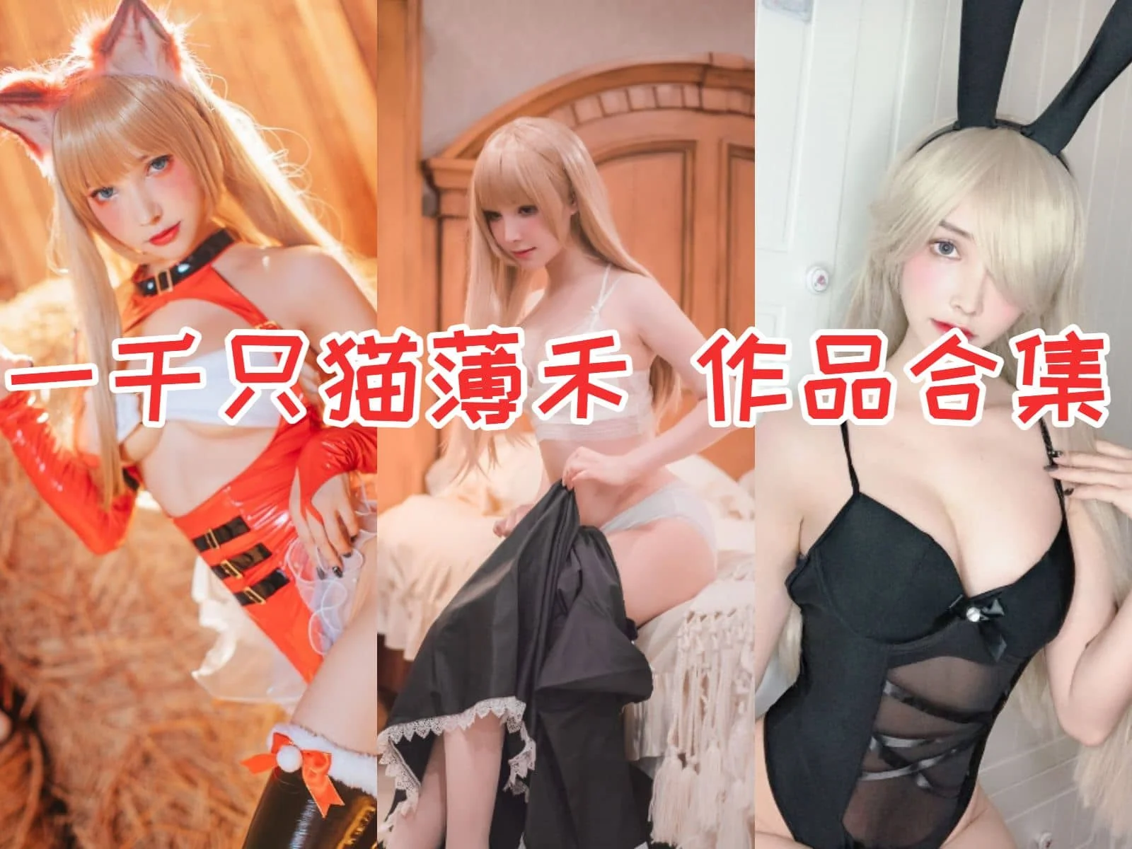 一千只猫薄禾小姐姐合集：知名度不够高的次元宝藏-ACGAI艺图