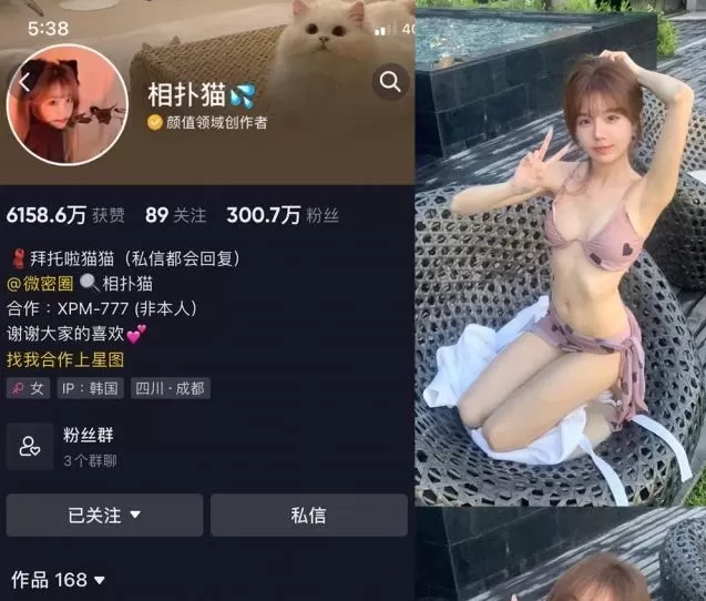 抖音网红，相扑猫颜值自媒体密圈图片&视频 最新网盘资源合集[持续更新]-ACGAI艺图