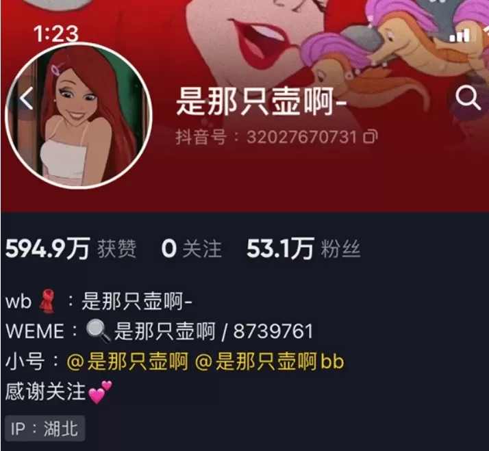 持续更新 是那只壶啊 最新微密圈作品资源合集下载-ACGAI艺图