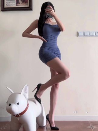 纪念小小V微密圈，付费入圈作品合集-ACGAI艺图