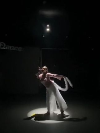 魅澜希舞蹈风格解析，舞蹈中的个人特色与风格展示-ACGAI艺图
