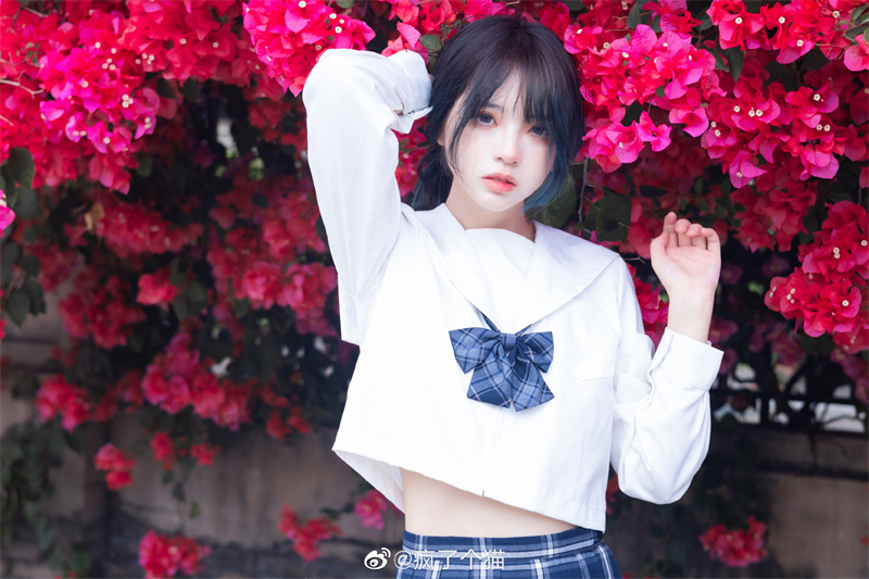 疯猫ss图片合集赏析，完美的初恋女友-ACGAI艺图