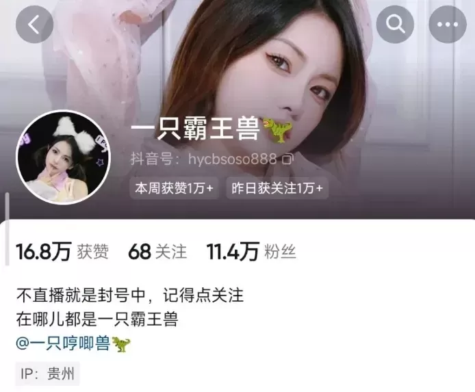 抖音网红 一只霸王兽 微密圈图片视频合集整理 土豪上帝双视角［210P 91V-18G］-ACGAI艺图