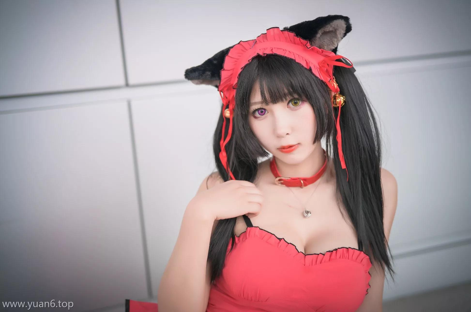 Coser_w黑米粥w-猫[44P-432MB]-ACGAI艺图