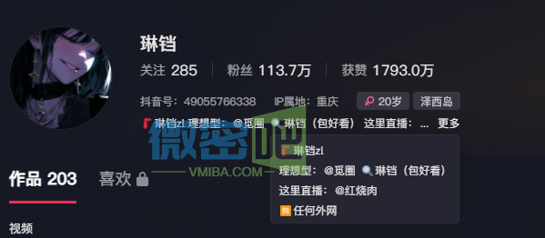 琳铛维密，颜值与艺术的完美交织，抖音百万粉丝的养成记-ACGAI艺图