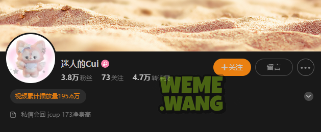 迷人的cui改名叫什么，消失的网红，留下的疑问！-ACGAI艺图