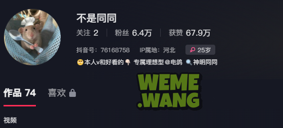 神明同同抖音世界到铁粉空间的魅力之旅-ACGAI艺图
