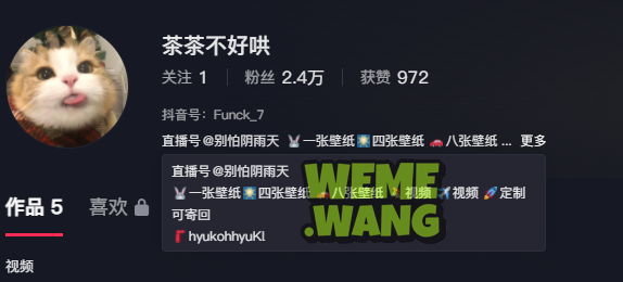 茶茶不好哄觅圈图片，颜值时尚博主，用美图俘获人心-ACGAI艺图
