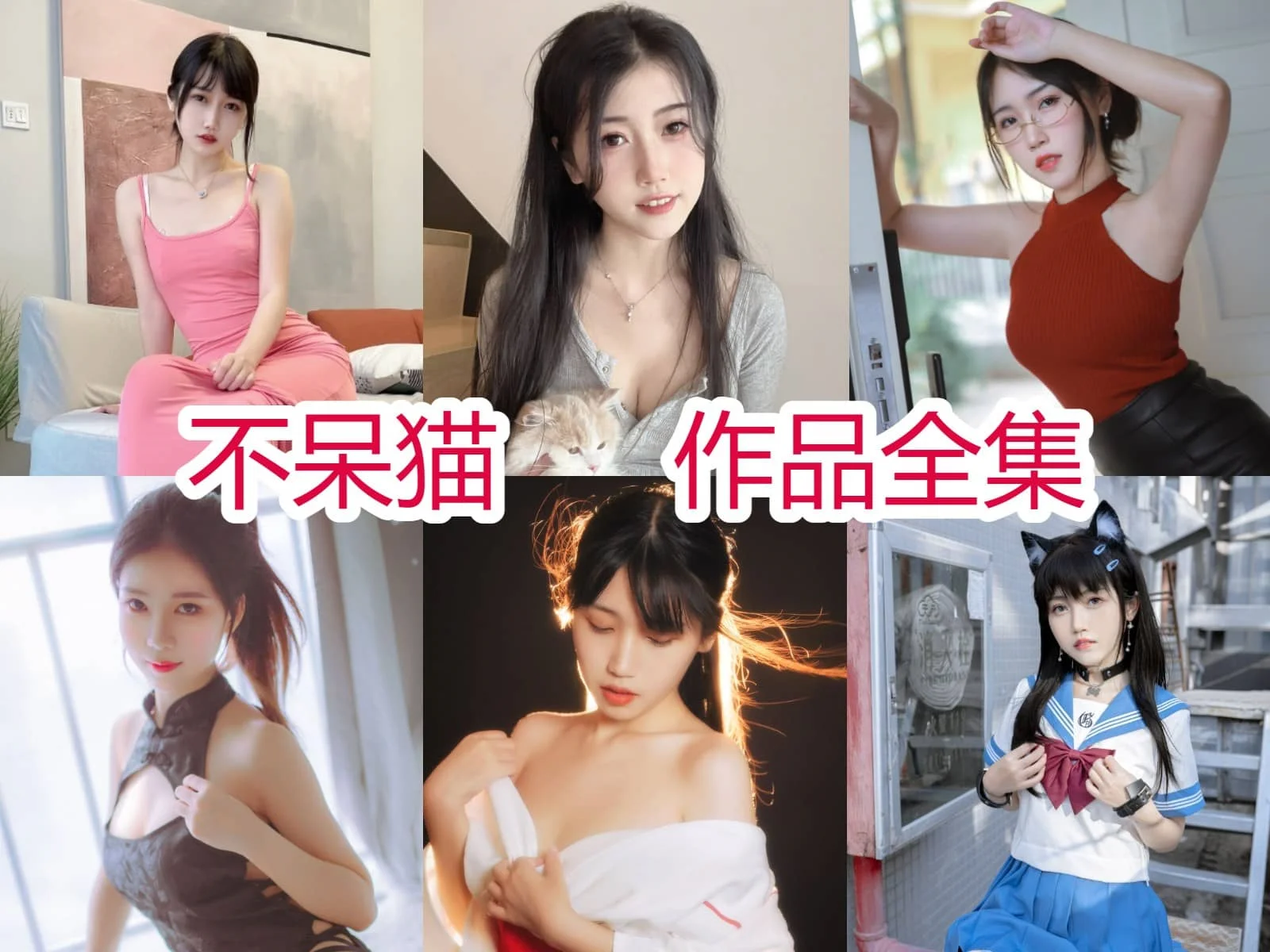 超赞！不呆猫(不槑猫)简介绍，摄影作品完整打包分享-ACGAI艺图