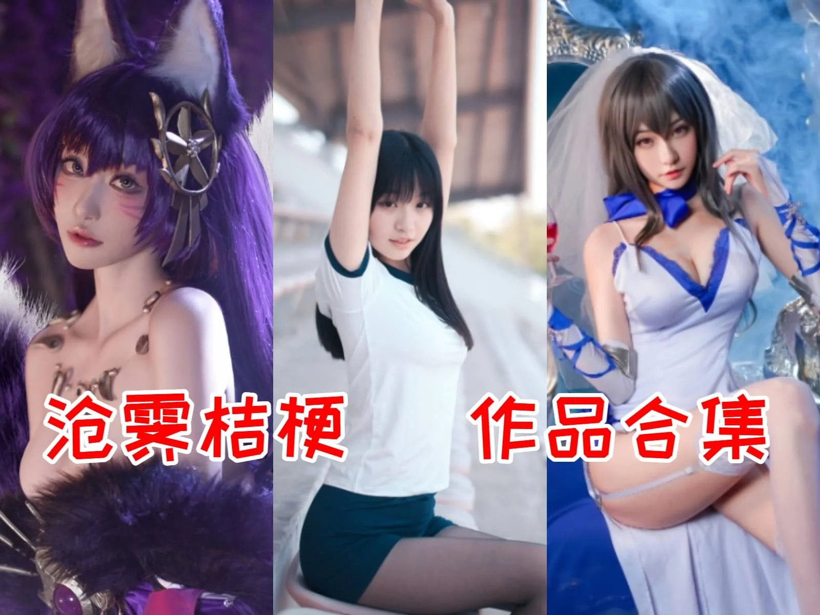 沧霁桔梗简介绍，摄影作品完整打包分享-ACGAI艺图