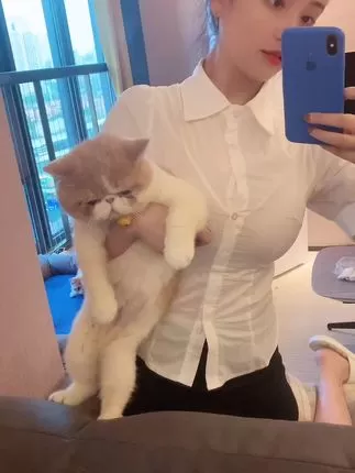 奶雯微密照片合集微笑的文文 weme 圈视频汇总，精彩不容错过-ACGAI艺图