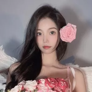 纪念小小v5合集打包，图片视频下载全套-ACGAI艺图
