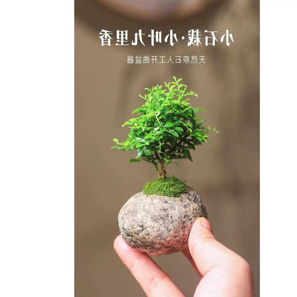 关于好h好的信息-ACGAI艺图