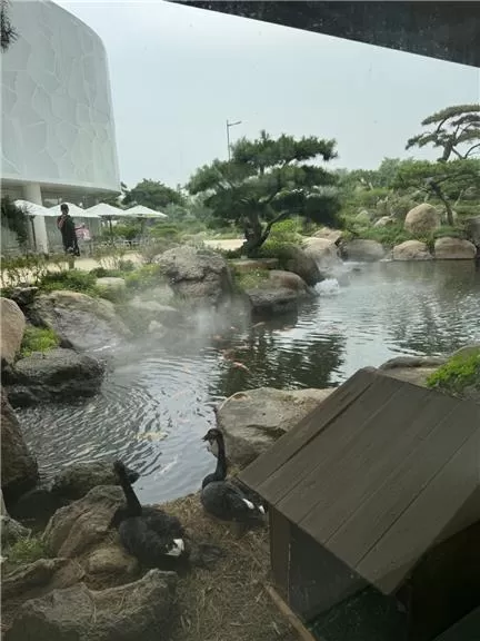 张鑫baby牛奶套图性感写真全集免费下载，微密圈里独具魅力的绝佳作品-ACGAI艺图