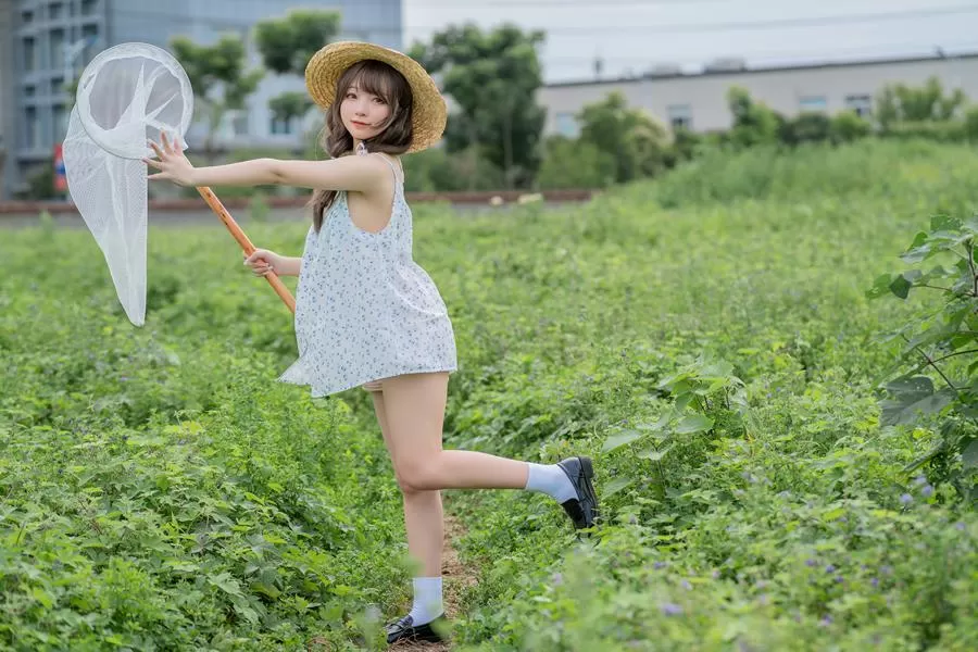 花铃图集