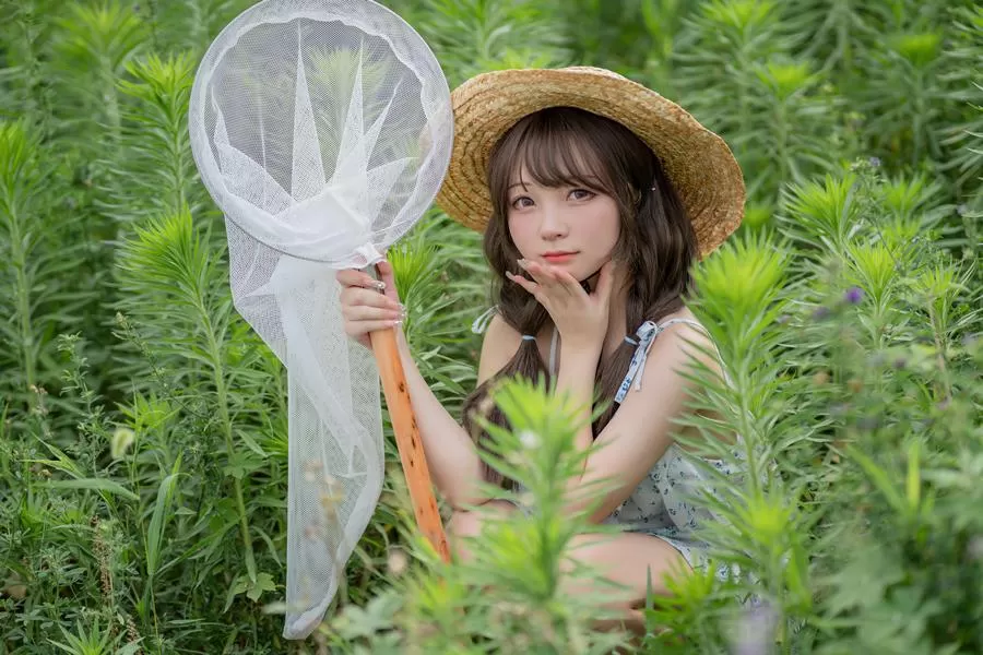 花铃图集